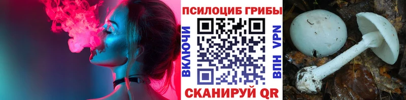 Галлюциногенные грибы мицелий  KRAKEN сайт  Уварово  магазин  наркотиков 