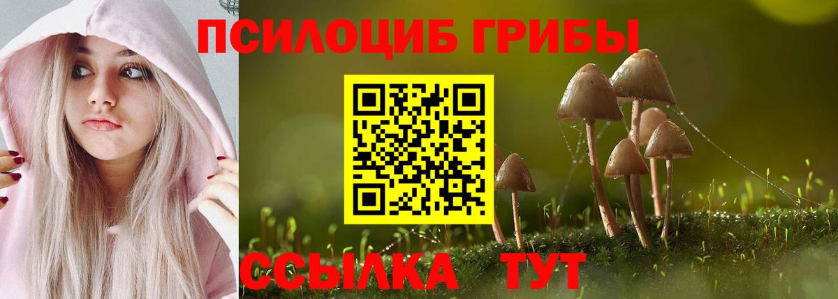 продажа наркотиков  Псилоцибиновые грибы Psilocybe  Вход с VPN  Уварово 